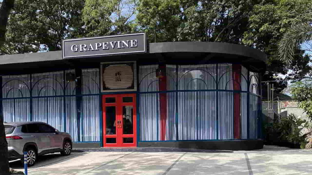 picture of grapevine restaurant, restaurant in white plains