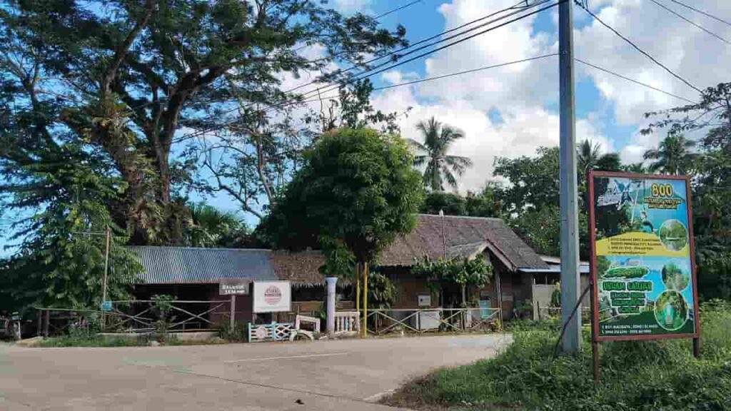 picture of asiano gourmet cuisine, seafood & vegetarian restaurant, seafood restaurant in puerto princesa